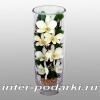 Цветы натуральные в стекле ( орхидеи )