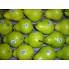 Прямые  поставки груши ,яблоки  из Аргентины