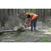 Удаление деревьев в Московской области