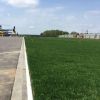 Купить газон по оптовой цене в Москве