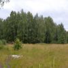 Лесной участок на Дмитровке.  40 км от МКАД.  Эко-поселок.
