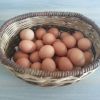 Продам Яйцо куриное деревенское крупное
