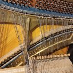 Реставрация,  настройка,  ремонт пианино и роялей в Москве